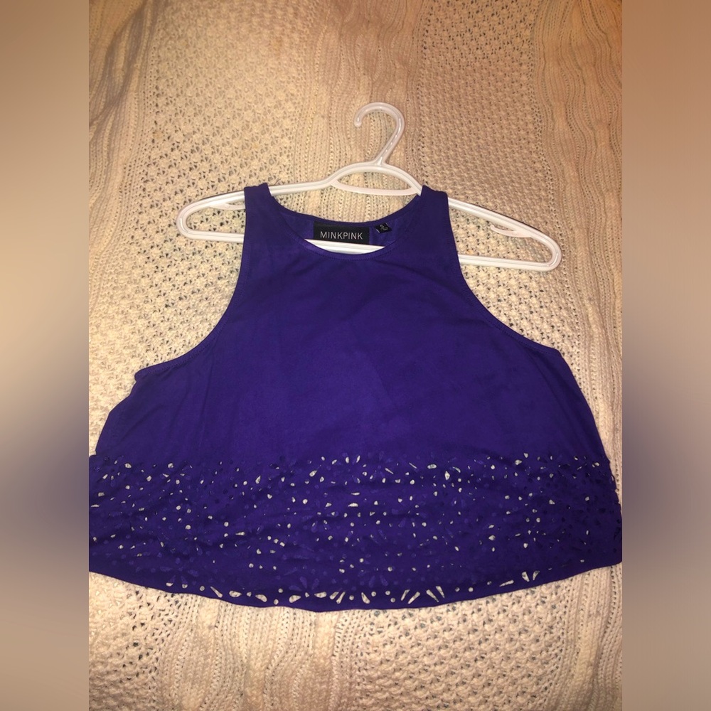 Mink Pink Cropped Top